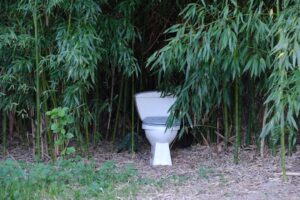 Nowoczesna toaleta przenośna ToiToi w naturalnym środowisku - ekologiczne rozwiązanie sanitarne
